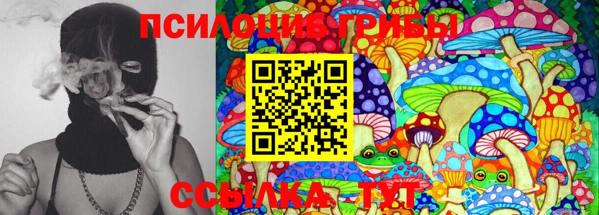 Псилоцибиновые грибы Psilocybe  Галлюциногенные грибы мицелий  Вход с VPN  Отрадный 