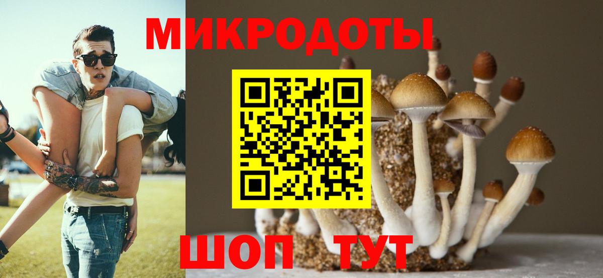 Галлюциногенные грибы Cubensis Отрадный